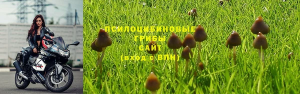 МДМА Бородино