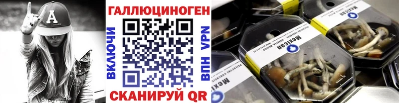 Галлюциногенные грибы Cubensis  Дальнегорск 